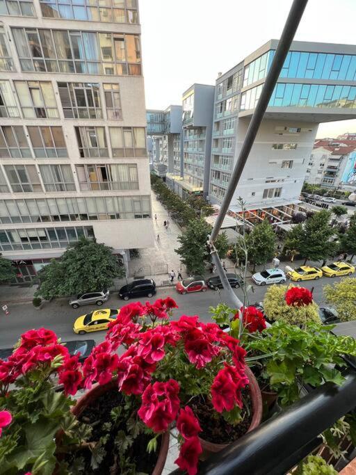 Mimosa'S Apartment With Lovely Balcony Tirana Esterno foto
